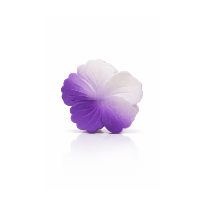 Gradient Flower Matte Accessory Gradient Flower Matte Accessory