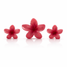 Plumeria Flower Accessories