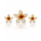 Plumeria Flower Accessories