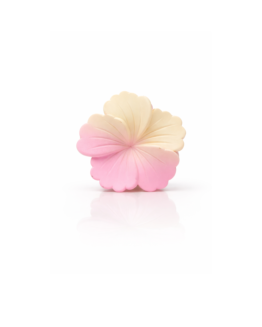 Gradient Flower Matte Accessory