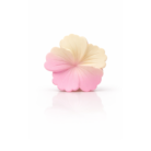 Gradient Flower Matte Accessory