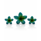 Plumeria Flower Accessories