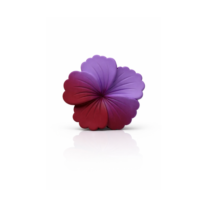 Gradient Flower Matte Accessory Gradient Flower Matte Accessory