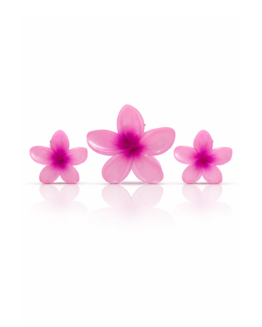 Plumeria Flower Accessories