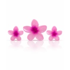 Plumeria Flower Accessories